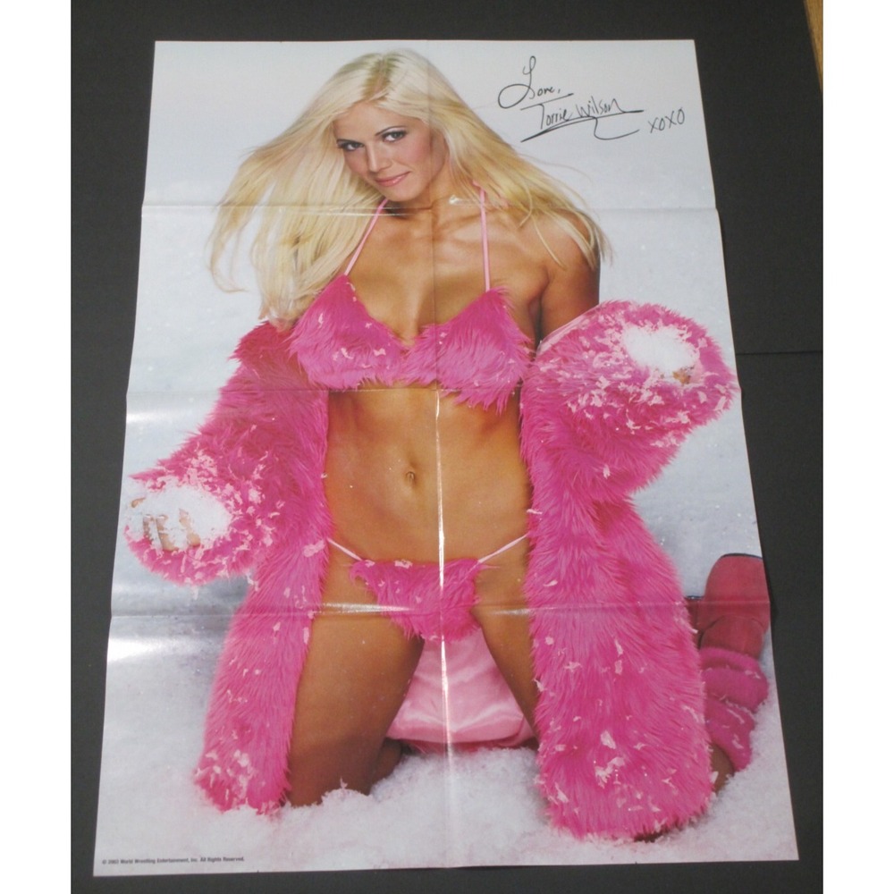 2003 WWE Torrie Wilson/KANE Double Sided Poster